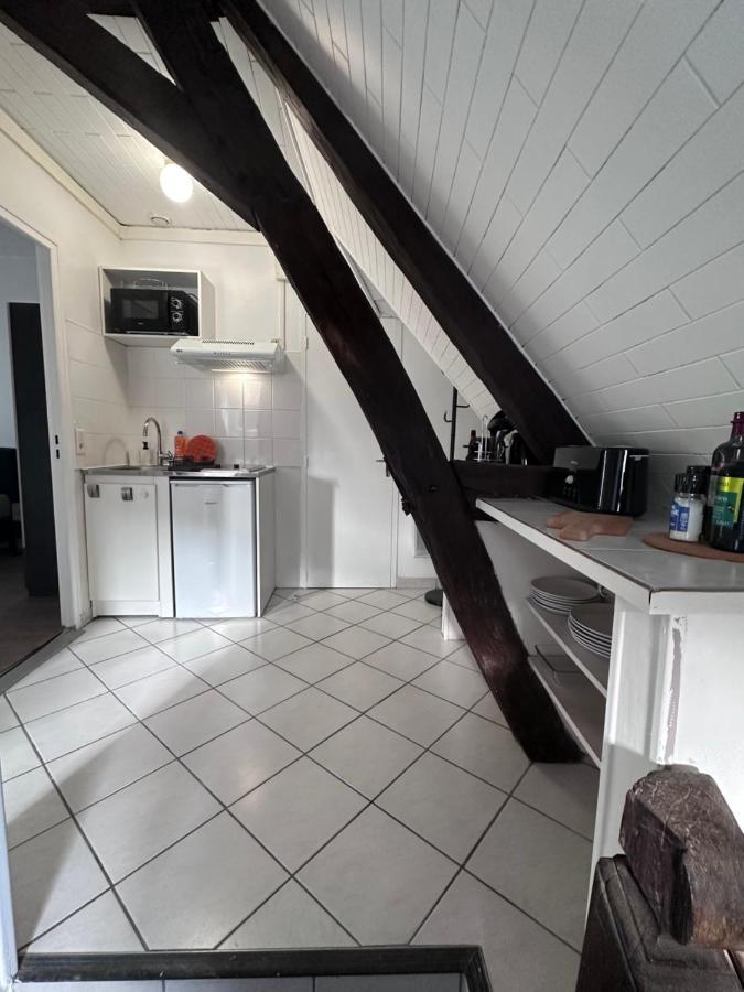 Le Saint Eusebe Apartment Auxerre